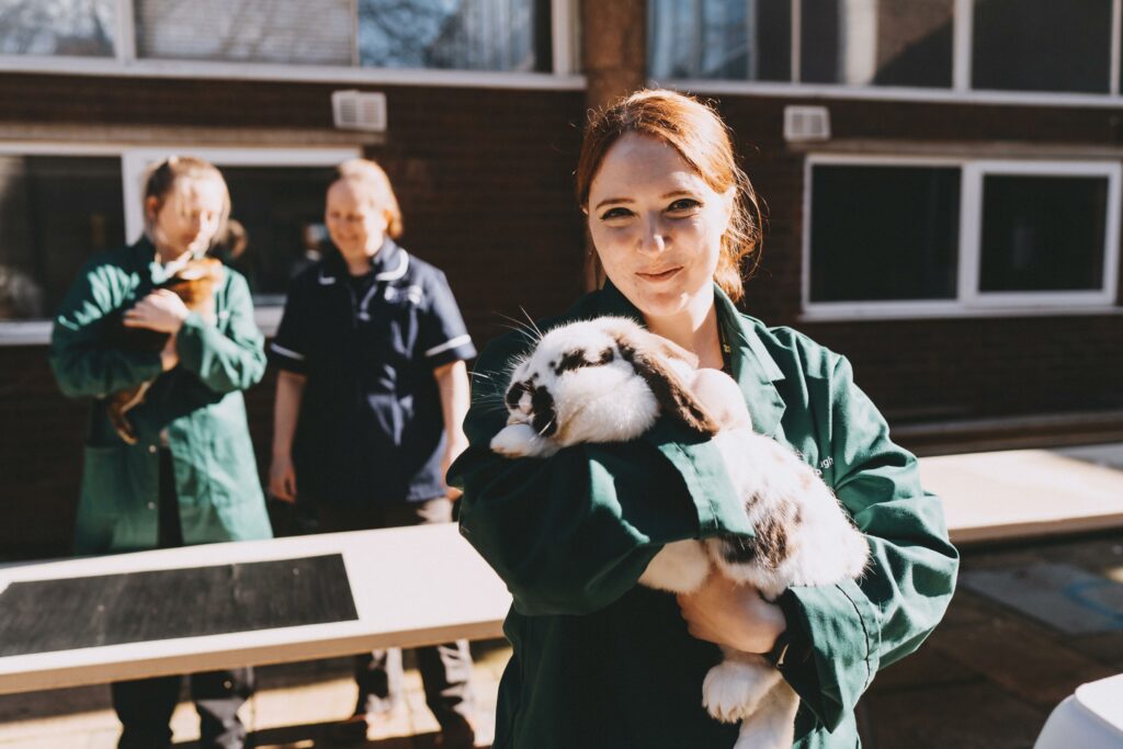 TLevel in Agriculture, Environment and Animal Care (Animal Care and